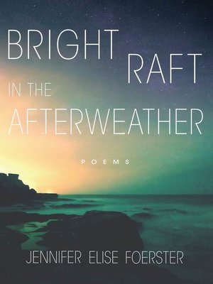 cover image of Bright Raft in the Afterweather